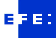 EFE logo