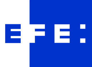 EFE logo