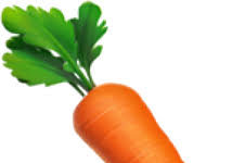 carrot