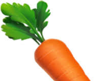 carrot